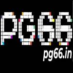 PG66 IN Profile Picture