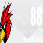 Đá Gà 88 Forum Profile Picture