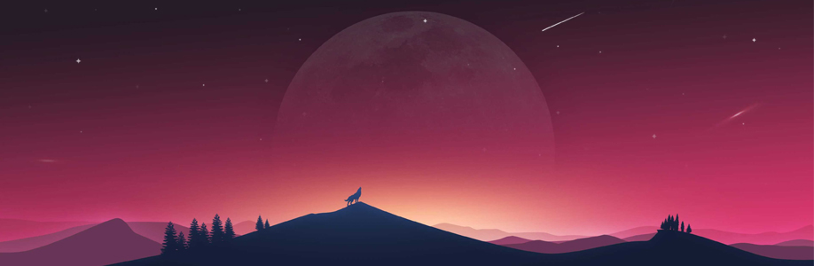 Diuwingame Cover Image